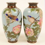 A pair of Japanese Meiji period cloisonné baluster vases decorated with birds amongst peony sprays
