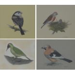 RICHARD PETHERICK (20th century); four gouaches; green woodpecker, jay, linnet,