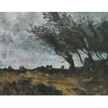 BARBARA FLEMING; oil on board "Winf-Swept Trees", unsigned, inscribed verso, 40 x 50cm, framed.