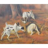 20TH CENTURY ENGLISH SCHOOL; oil on canvas, working terriers, unsigned, 50 x 61.5cm, framed.