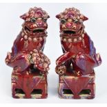 A pair of late 19th century Chinese porcelain Kangxi style Buddhist lions, male and female, with a