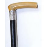 A silver mounted horn handled walking cane with ebonised shaft,