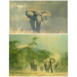 DAVID SHEPERD; two large prints depicting elephants in the wild, signed lower right,