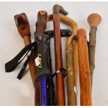 Eight various predominantly wooden walking sticks,