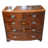 An early 19th century mahogany and satinwood crossbanded shell inlaid bowfront chest of two short