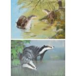 JOHN CRANK; gouache, badgers, and another by the same artist, otters, each approx 22.