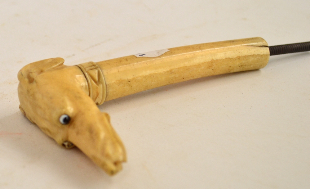 A bone walking cane handle in the form of a greyhound with collar, height 11.5cm (one eye af).