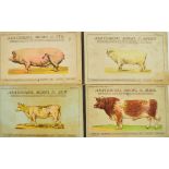 Four vintage Vinton & Co Ltd anatomical livestock models with pop out illustrations for the cow,