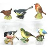 Six assorted Beswick bird figurines to include a grey wagtail, a robin, wren etc (6).