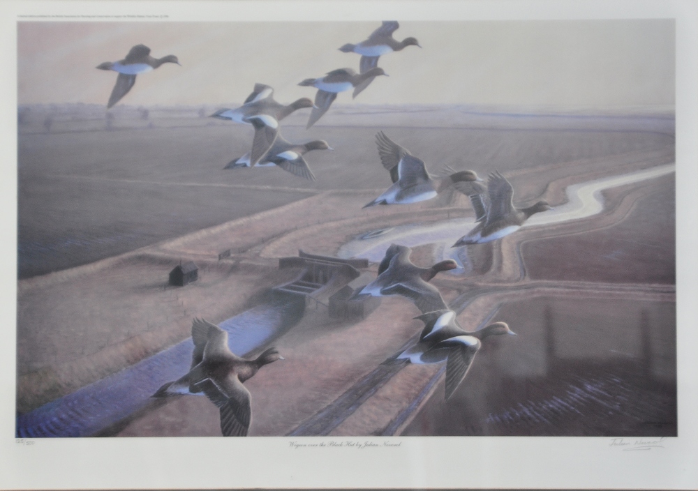 After Julian Novorol; a signed limited edition colour print "Wigeon over the Black Hut", n0.