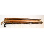 A group of eight late 19th/early 20th century walking sticks and canes,