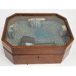 A mahogany canted rectangular display case with glazed hinged lid enclosing lignum vitae mallet and