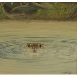 TERRY RILEY; watercolour "Peek-a-Boo", image of an otter poking his head just above the water,