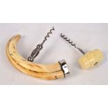 A boar tusk corkscrew with silver plated mounts, width 17.
