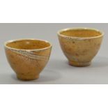 SARAH WALTON (born 1945); a pair of salt glazed footed tea bowls, brush decoration, impressed SW