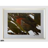 "Red breasted Robin" (40x30cm) by Peter Nicholas – framed print – 3 of 3 lots. EST 60 Taken at