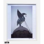 "An atmospheric Liver Bird in Central Liverpool" (30x46cm) by Peter Nicholas – framed print – 2 of 3