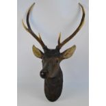 An early 20th century carved wooden stag's head with three point antlers, length from tip of antlers