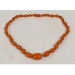 An amber coloured graduated bead necklace with internal ivory screw stud clasp, length 44cm.