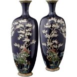 Paar Email Cloisonné-Vasen Japan Ende 19. Jh. Blütenbaum und Iris auf nachtblauem Grund. Höhe 27