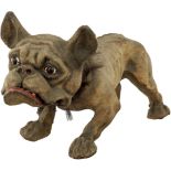Bulldogge Um 1900. Papiermaché. Nachzieh-Hund auf Rollen. Beweglicher Kopf, eingesetzte Glasaugen.
