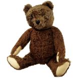 Braunbär "Steiff" Mitte 20. Jh. Mohairplüsch-Teddy. Restetikette am Arm. Bespielter Zustand. Höhe 55