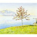 Jacobi Marcus 1891 Biel - 1969 Bern "Baum ob Iseltwald am Brienzersee". Oel auf Leinwand. Unten