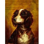 Hundeportrait "Setter" 20. Jh. Oel auf Malkarton. Signiert. Gerahmt. Bildmasse 17 cm × 12 cm