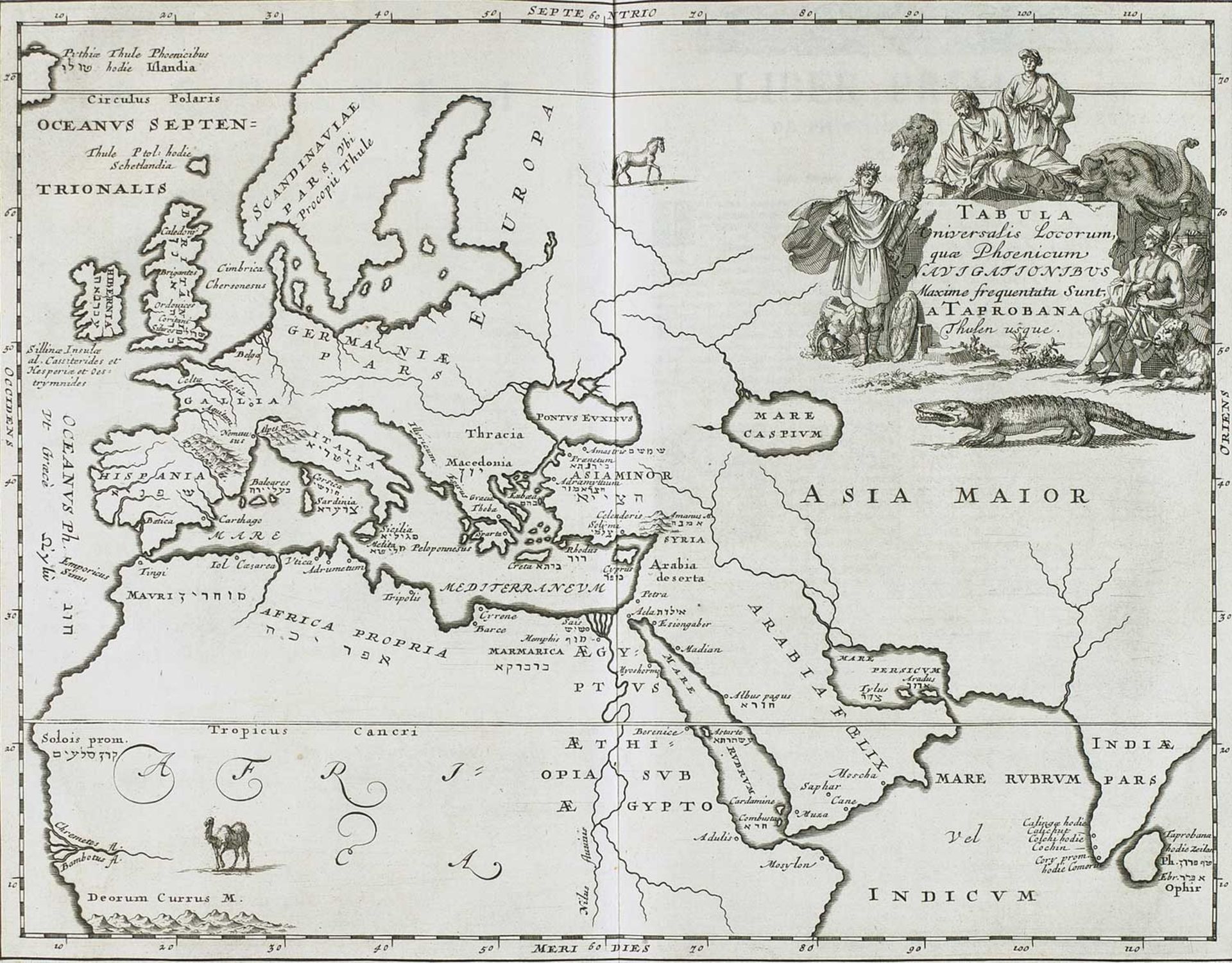 Bochart,S. Opera Omnia, hoc est Phaleg, Canaan et Hierozoicon. Geographia Sacra. De Animalium. De - Bild 2 aus 2