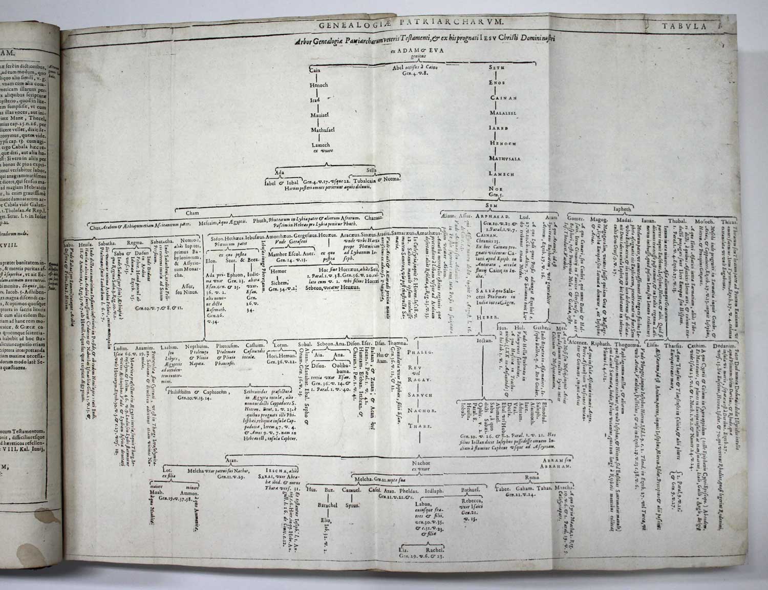 Biblia magna commentariorum literalium Joannis Ganaei, Guillelmi Estii, Emmanuelis Sa, Ioannis - Image 9 of 11