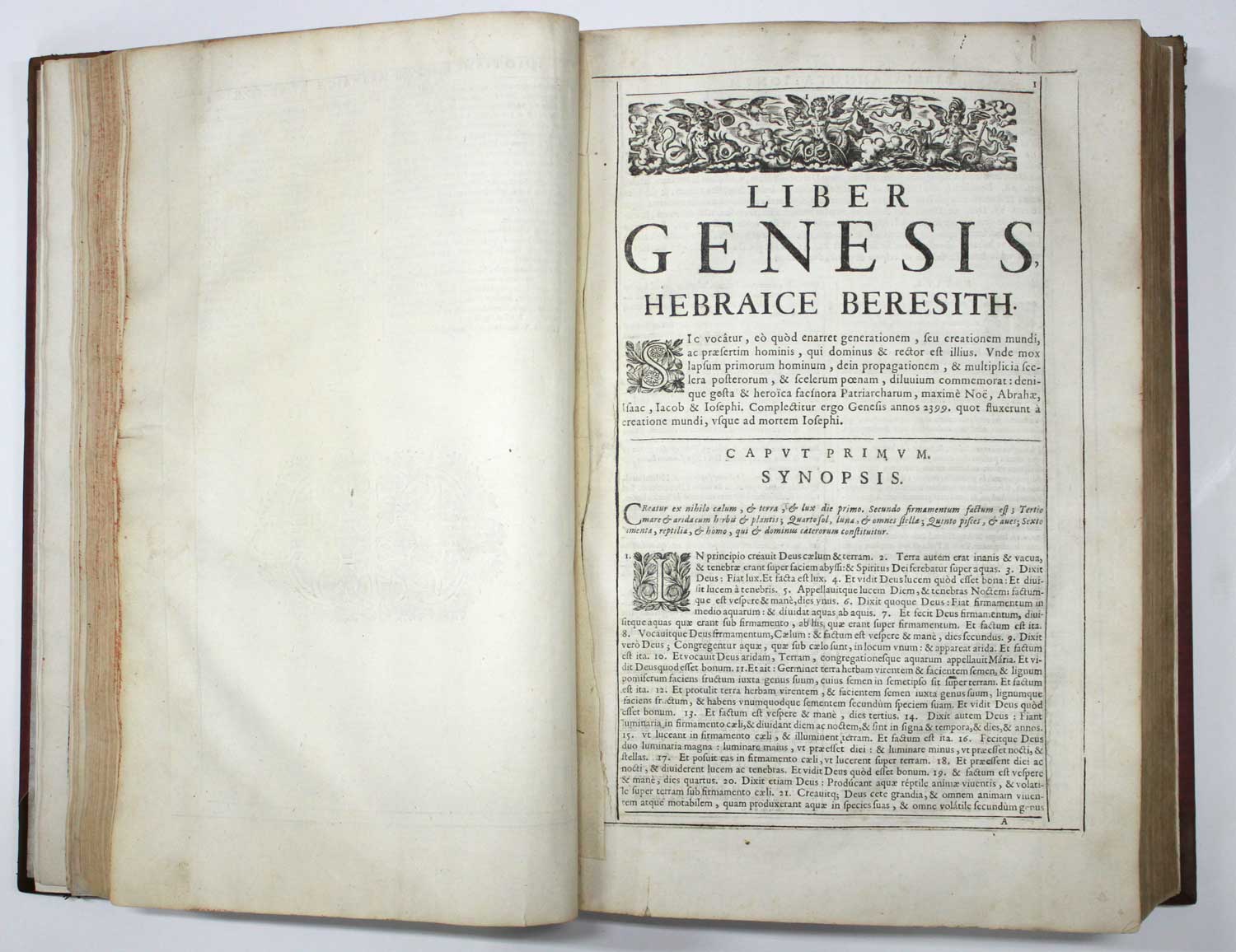 Biblia magna commentariorum literalium Joannis Ganaei, Guillelmi Estii, Emmanuelis Sa, Ioannis - Image 10 of 11