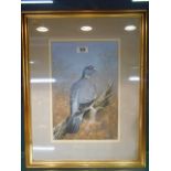A Watercolour & Gouache by B. Hobson Pigeon on a Branch 30 x 20cm.