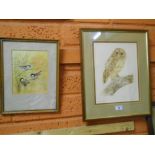 A Watercolour, Birds on a Branch & an Engraving, Tawny Owl, indistinctly signed & titled in pencil.