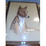 A Pastel Dog Study by Truda Hope Panet, Titled 'Hercules of Syngefield', Signed &  dated 23.9.48
