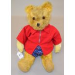 1950's teddy bear with glass eyes and st