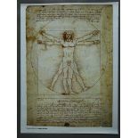 Leonardo Da Vinci Vitruvian Man Rolled condition poster measuring 24 x 31 inch Bridgeman Art