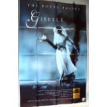 The Royal Ballet ,
