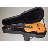 A Steve Reiner classical guitar, with hard case. Great quality.