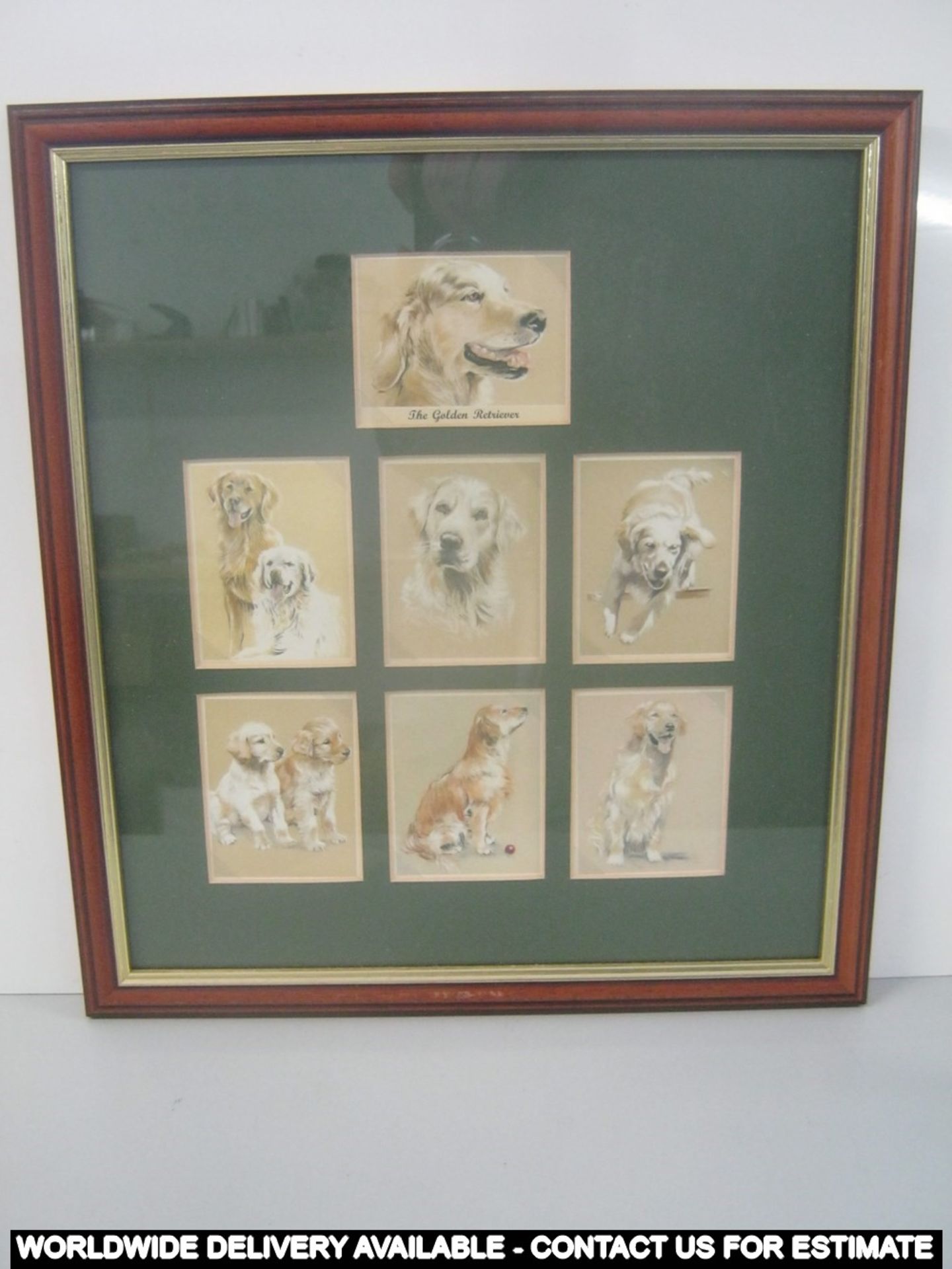 Framed collectable cards - "Mans Best Friend" - The Golden Retriever