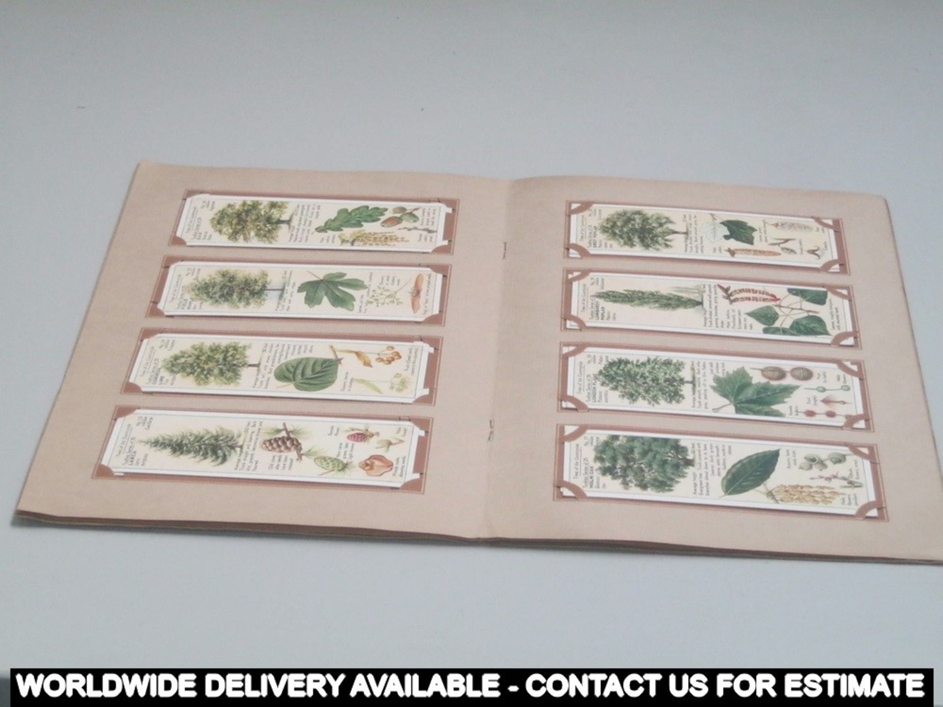 14 x Albums of Sumner's Typhoo tea cards - Image 8 of 9