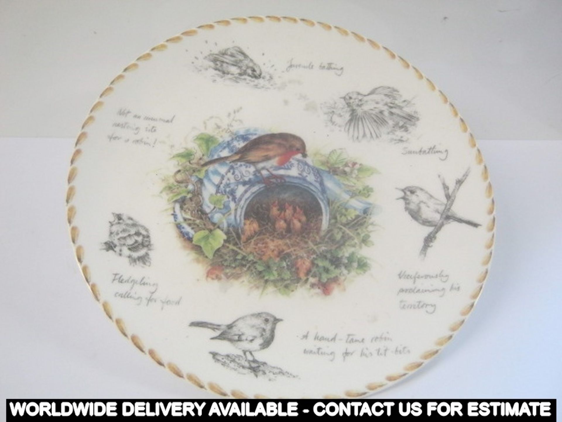 "The Robin" plate by Eric Robson from the Birdwatcher's Notebook Collection - Wedgwood