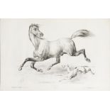 Victor Adam (1801-1866)  HORSE WITH A DOG AND TWO DONKEYS. Two lithographies on paper, 320x489 mm