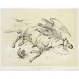 Victor Adam (1801-1866)  STUDY OF A DEAD HORSE AND AN EAGLE. Étude de cheval mort et d´aigle. Tinted