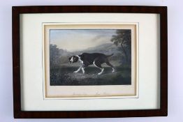 French, W., nach Stubbs, Stahlstich um 1850,  nach Stubbs, Motiv: Jagdhund, ca. 16 x 20cm.