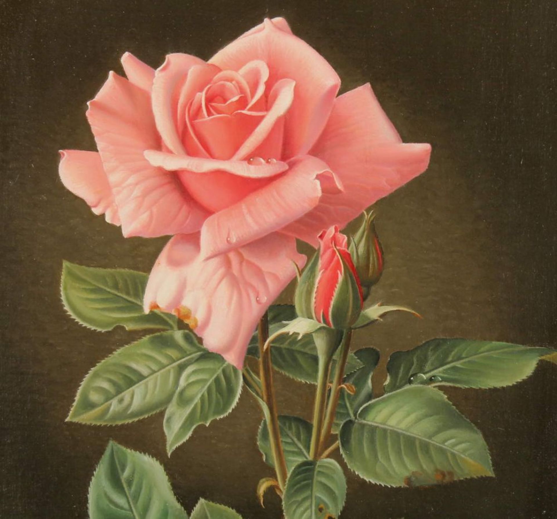 Reserve: 200 EUR        Grünberg, Wolfgang (1909 - 2001, in Köln tätiger Blumenmaler), "Rosa - Image 5 of 10