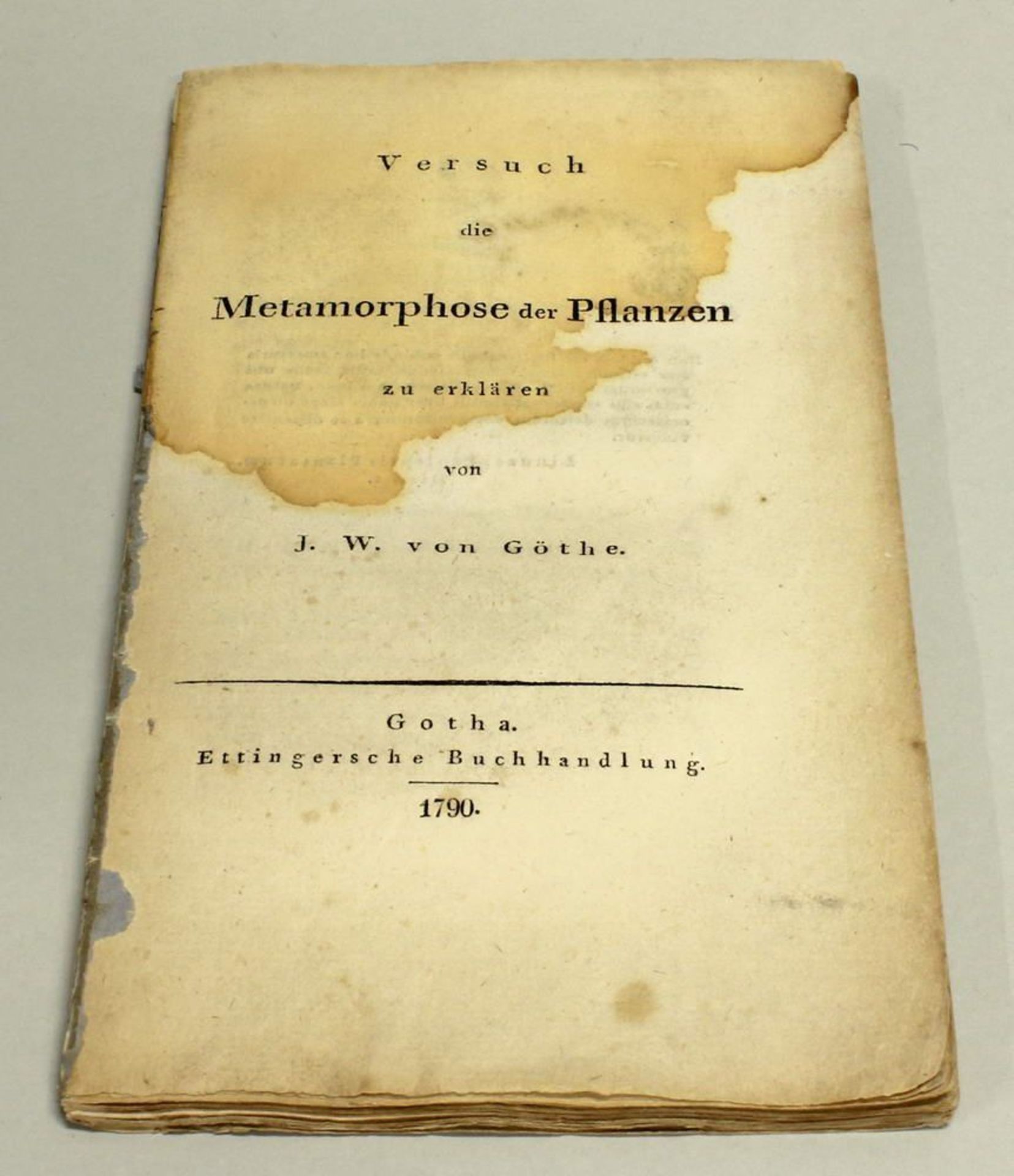 Reserve: 160 EUR        Johann Wolfgang von Goethe: "Versuch die Metamorphose der Pflanzen zu - Image 2 of 4