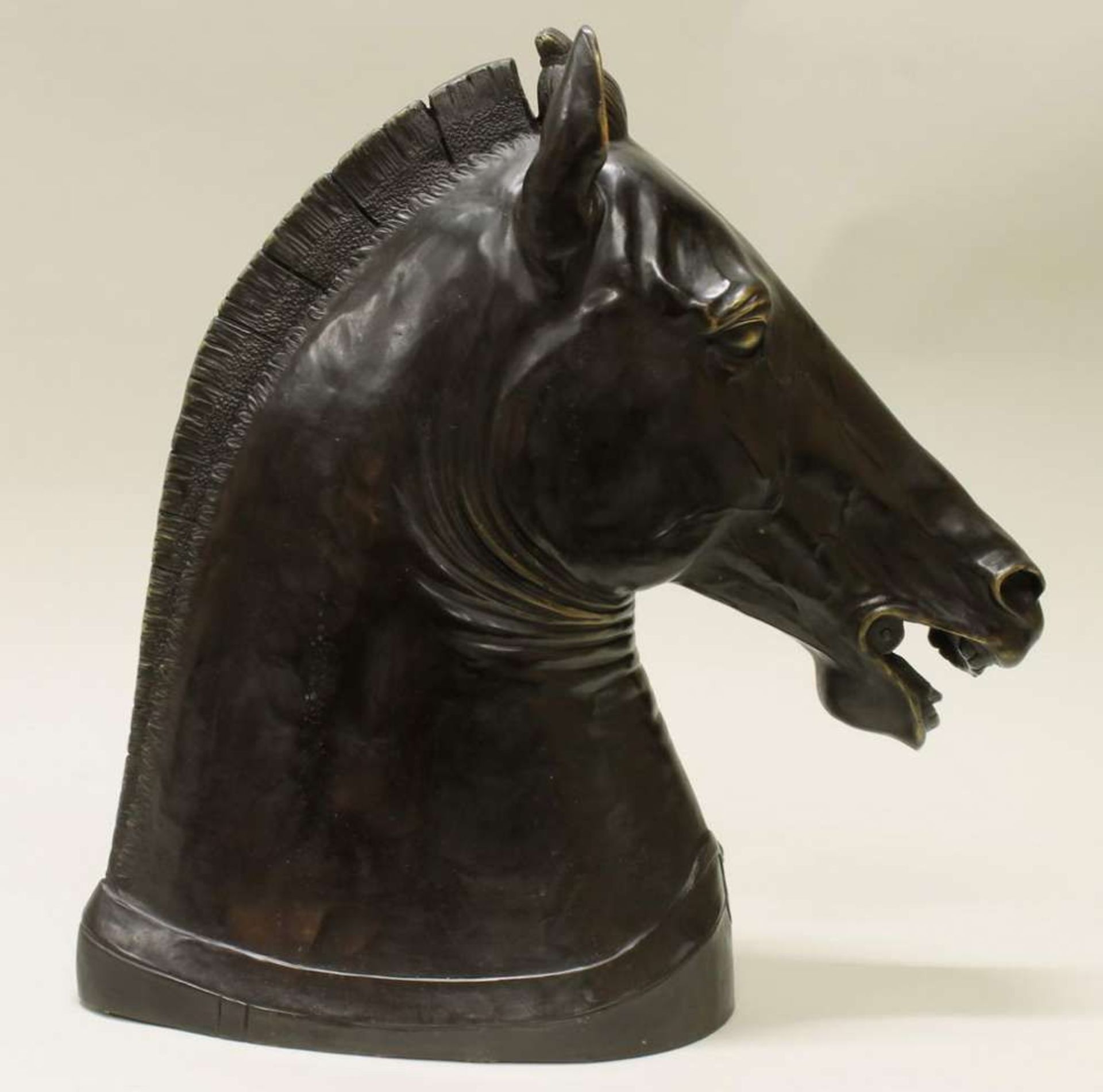 Reserve: 450 EUR        Bronze, in der Art des Medici Riccardi-Pferdekopfes, neuzeitlicher Nachguss, - Image 4 of 4
