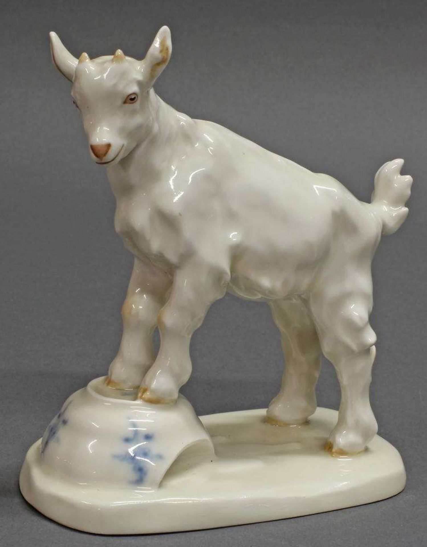 Reserve: 280 EUR        Porzellanfigur, "Ziegenbock auf Spülnapf", Meissen, Schwertermarke, 2. Wahl, - Image 2 of 4