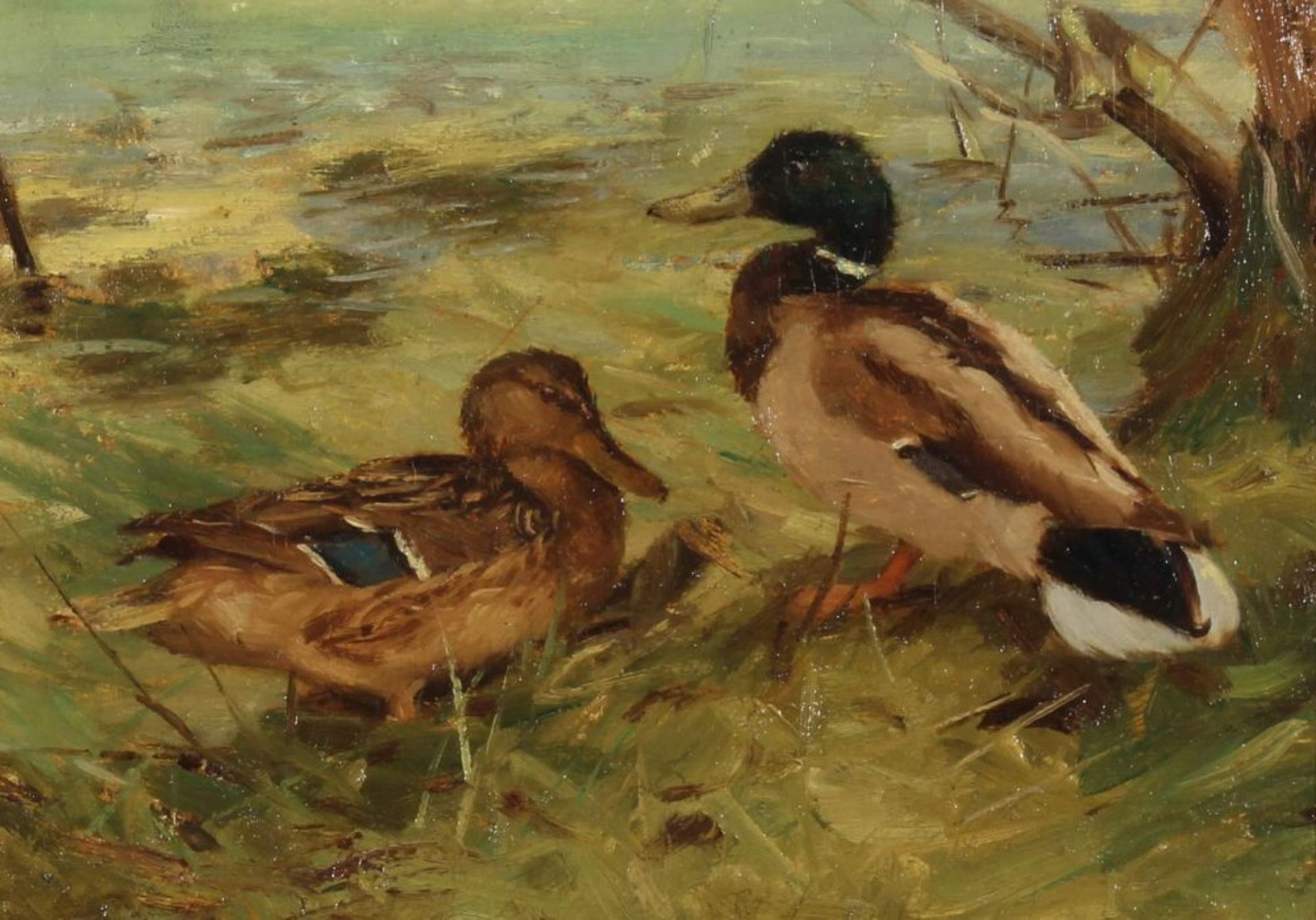 Reserve: 70 EUR        Tiermaler (20. Jh.), "Zwei Enten", Öl auf Leinwand, auf Karton, 26.5 x 37 cm