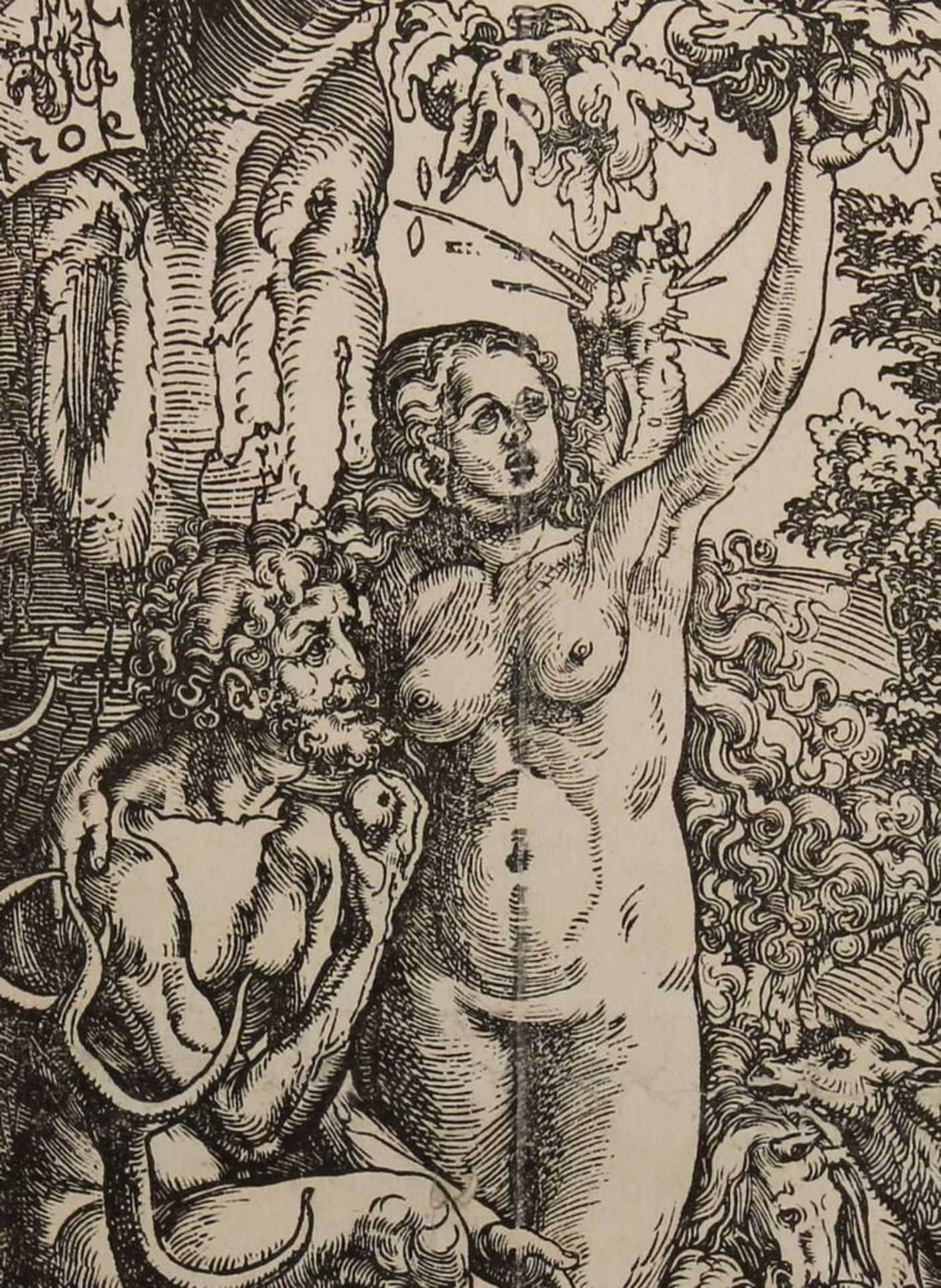 Reserve: 1500 EUR        Cranach, Lucas d. Ä. (1472 - 1553), Holzschnitt, "Adam und Eva im - Image 6 of 14